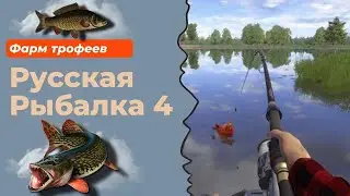 RR 4 STREAM\ СТРИМ РУССКАЯ РЫБАЛКА 4\ КЭЧИМСЯ