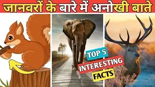 जानवरों के बारे में अनोखी बाते | Facts ABOUT Animal | FACT Mode | #shorts  #factmode #short