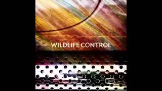 Wildlife Control - Darkness