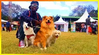 Nakuru Pets Festival season 2 2018