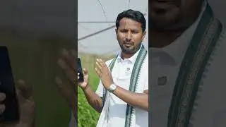 तीखी मिर्ची से कमाओ 9 महीनों में ₹9 लाख🌶️💸 #indianfarmer #shorts