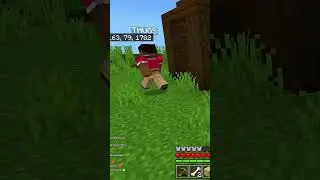 Small Joys in Minecraft: Simple Moments That Spark Happiness! #GamingShorts