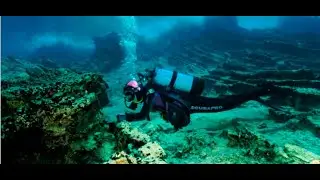 ENTRENAMIENTO DE T&Eacute;CNICAS DE BUCEO Y MUESTREO SUBACUATICO PARA ESTUDIAR BIOLOG&Iacute;A MARINA