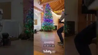 Twinkly Pro - Tree Installation Process