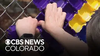 Elementary school in Denver celebrates connection to outdoors with wildflower fence art