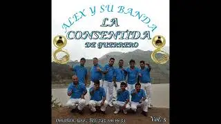 Mix Vol.5 El Fantasma - Alex y su Banda La Consentida de Guerrero