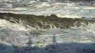 ceibwr surge
