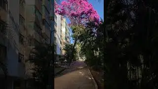 Asa norte- Bras&iacute;lia- DF #asanorte #brasilia