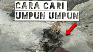 #fishingbaitlegit#UmpanKiller. Cara cari umpun²/umpun² sarang/Sangat mudah geng