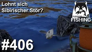 Lohnt sich Sibirischer St&ouml;r? | Russian Fishing 4 #406 | RF4 | Deutsch | UwF