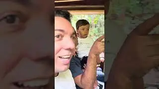 Um dia no Simba Safari em S&atilde;o Paulo 