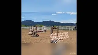 Riding my free lead-line horse in hunters :)