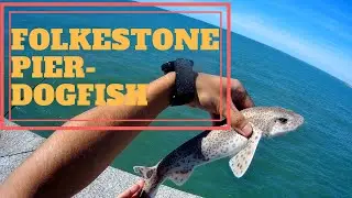 Folkestone Pier Fishing for Dogfish