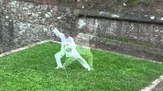 Tai Chi forma corta Yang abbreviata