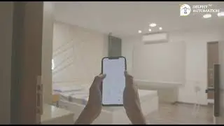 Delphy Automation