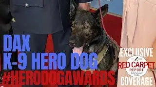 Hero Dog K-9 Dax interviewed at American Humane Hero Dog Awards: Watch on 10/21 on #HallmarkChannel