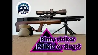 Pinty Striker &hellip;.. Pellets or Slugs??
