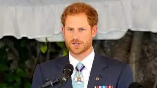 Prince Harry announces royal internship at Buckingham Palace