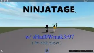 Black and Gold Dual Auto Duels NA Ninjatage