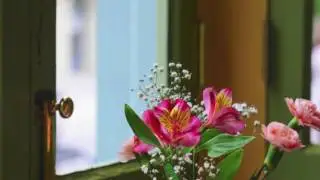 The Effect Of Climate Change On Bees