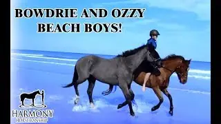 Bowdrie and Ozzy visit the beach for the first time
