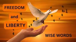 Quotes on Freedom and liberty