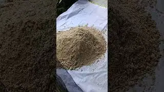 Perdana mencoba membuat pakan entok fermentasi dari ampas tahu dan dedek atau bekatul kita tunggu