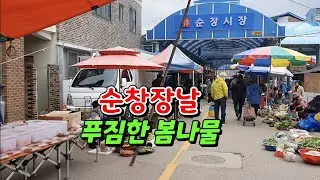 순창장날 봄나물 쑥부쟁이 머위순 돌나물 달래 봄동 풋마늘 오이 상추 배추 무우