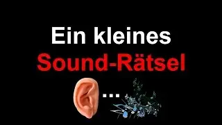 Ein kleines Soundr&auml;tsel! || Welches Spiel werde ich bald let's playen?