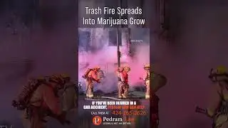 Trash Fire Spreads Into Marijuana Grow