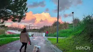 Walking Lisbon: Urban Forest to City View at Sunset