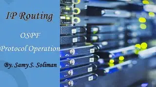 IP Routing (06 - OSPF Operation)