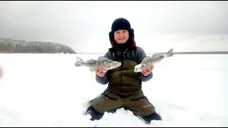 ОТПРАВИЛИСЬ НА ЩУКУ, НАТАСКАЛИ БЕРША! Справляем День Рождения Романа!