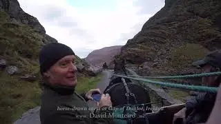 Gap of Dunloe, Ireland - David Monteiro