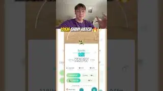 Блестящий хэтчбек 12 км 🔥✨