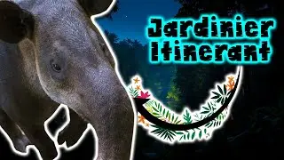 Tapir | Documentaire Animalier