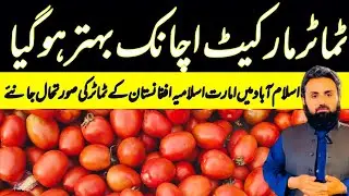 Islamabad international tomatoes market become expensive | Kabul tomato | Tomato Whoalsale Prices 