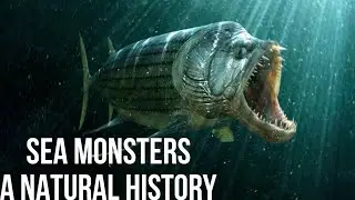 Sea Monsters A Natural History Part 2 (Biology, Anatomy and Species)