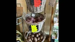 Spring has sprung at Full Features Landscape & Garden Center