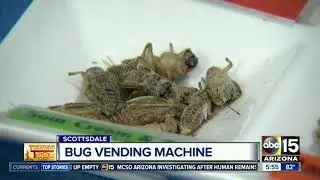Butterfly Wonderland debuts bug vending machine