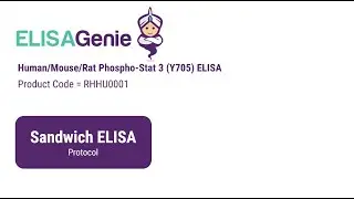 Human/Mouse/Rat Phospho-Stat 3 (Y705) ELISA (SKU: RHHU0001) - ELISA Genie