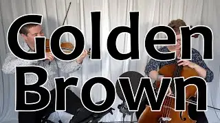 Golden Brown - The Stranglers Violin & Cello Cover