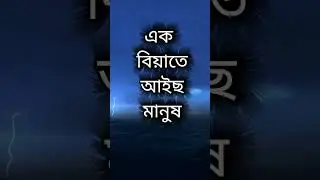 এক বিয়াতে আইছ মানুষ #news #viral #virals #beautiful #posts #cricket