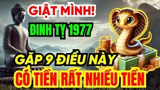 Giật mình Tuổi Đinh Tỵ 1977 SẮP GIÀU TO, Nhận Phước Trời Ban thường gặp 9 Chuyện Kỳ Lạ Này!