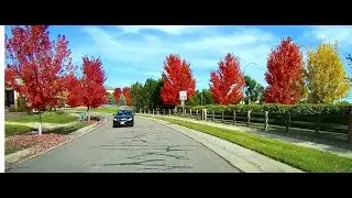 20141018 Fall Colors in Denver, Colorado