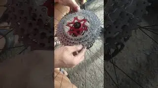 Nasira na ba ang Rubber Dust Seal ng Crimson Claw mo???