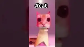 #cat #meme#subscribe #funny credit lucid edits