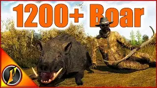 Our Biggest Wild Boar EVER in theHunter Classic! | 1200+ Score!!