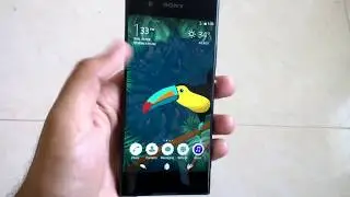 Sony Top 5 Free Themes of 2023