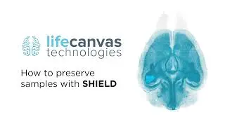 Protect Tissue Samples with SHIELD